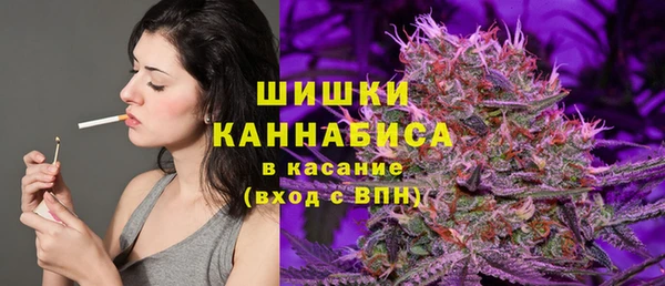 apvp Медногорск