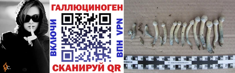 Псилоцибиновые грибы Psilocybine cubensis  где можно купить наркотик  Ессентукская 